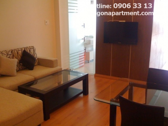 Luxury serviced apartment for rent in district3- 1200$