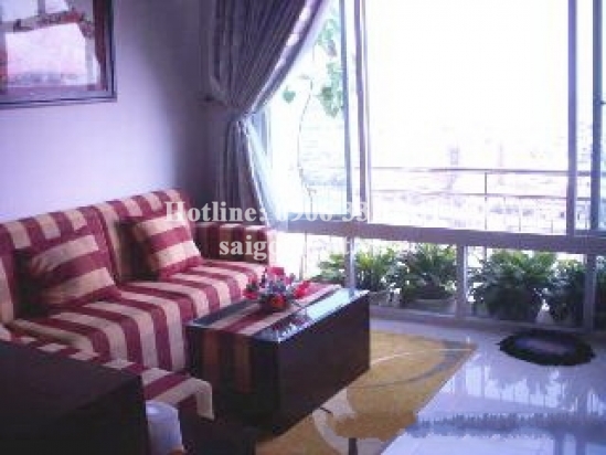 Apartment for rent in Tan Da Court, District 5 - 700$