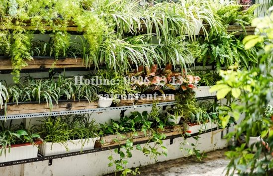 Nice penthouse serviced apartment 01 bedroom for rent on Nguyen Van Huong street, Thao Dien Ward, District 2 - 85sqm - 700 USD
