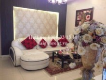 Apartment for rent in District 10 - Wonderful apartment for rent in Flemington Parkson, Le Dai Hanh street, District 11: 1350 USD