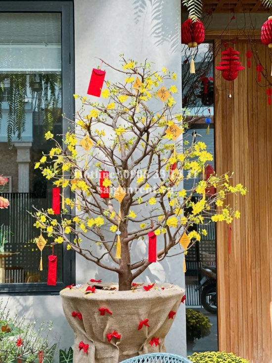 Bán nhà 36/5-36/7 Lam Sơn, Phường 6, Quận Bình Thạnh, diện tích 350m², giá bán 105 tỷ  