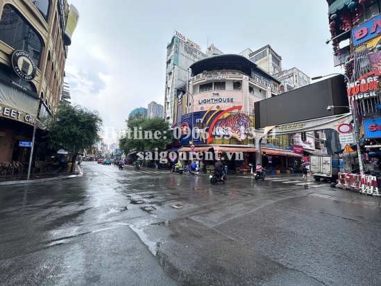 House for rent at 185 De Tham street, Ben Thanh ward, 300sqm, 8000 USD