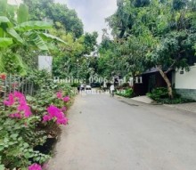 Bán đất 204/16 Nguyễn Văn Hưởng, phường Thảo Điền, Quận 2, diện tích 485m2, giá bán 116,4 tỷ 